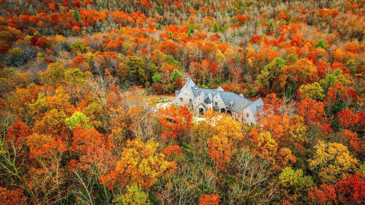 Photo of Outdoor in Black Mountain