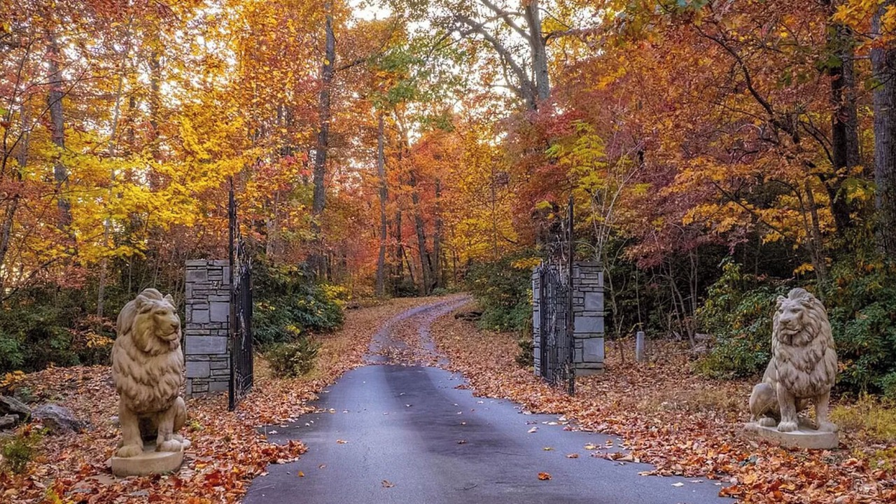 Photo of Outdoor in Black Mountain