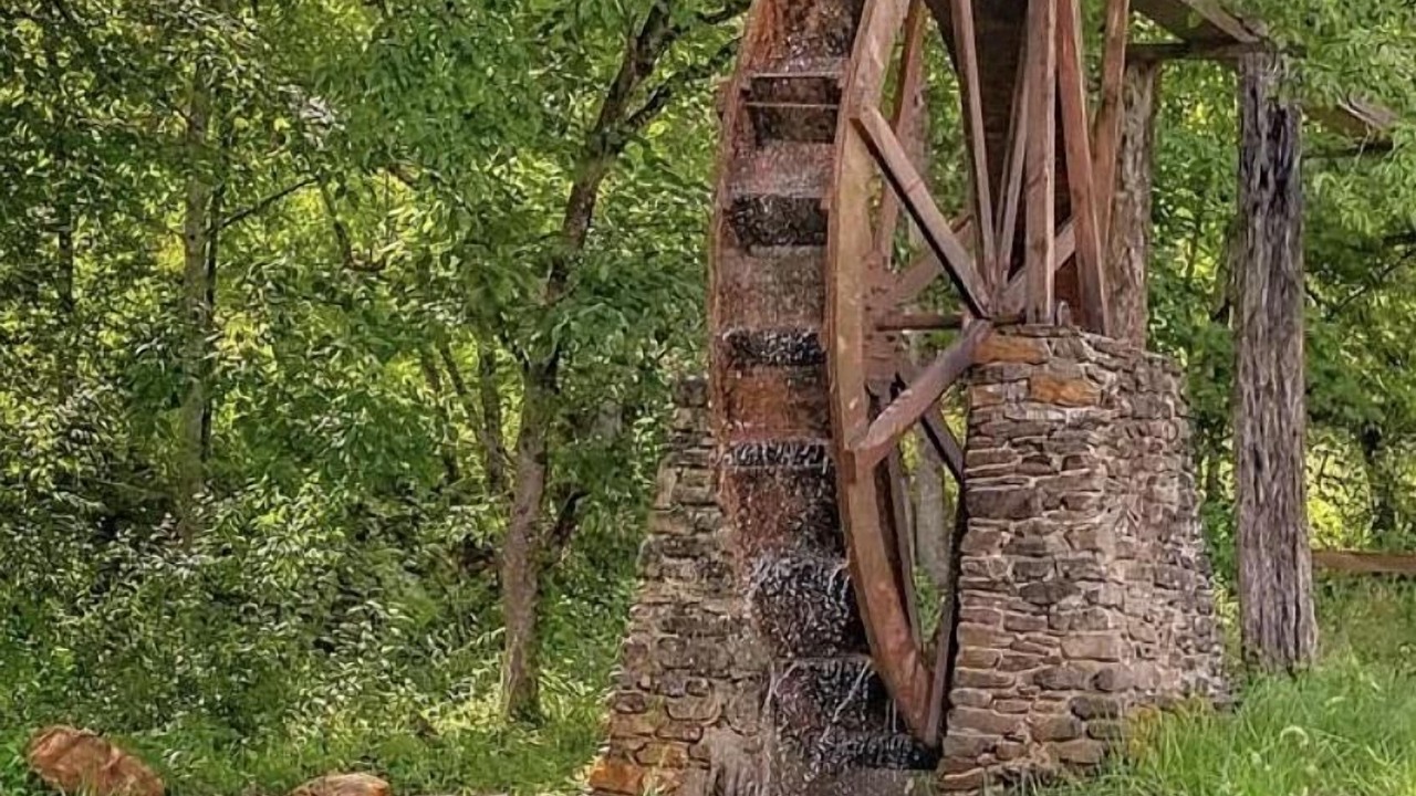 Photo of Others in Mill Spring