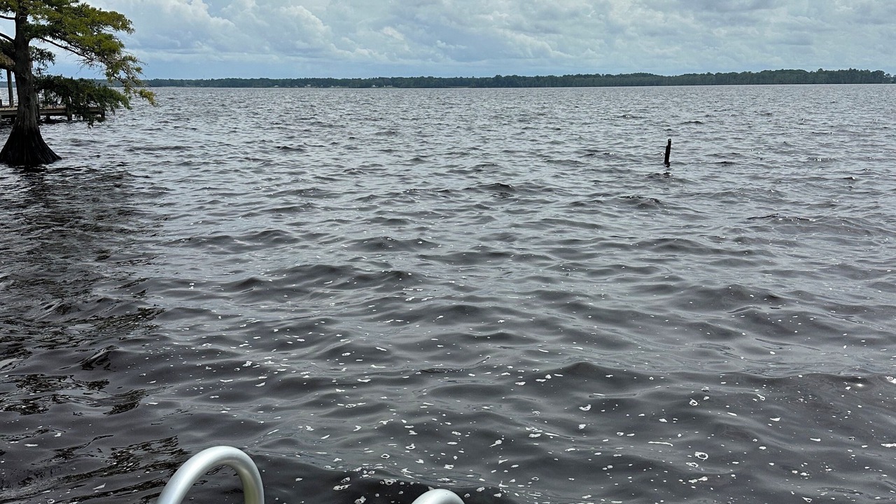 Photo of Others in Durants Neck