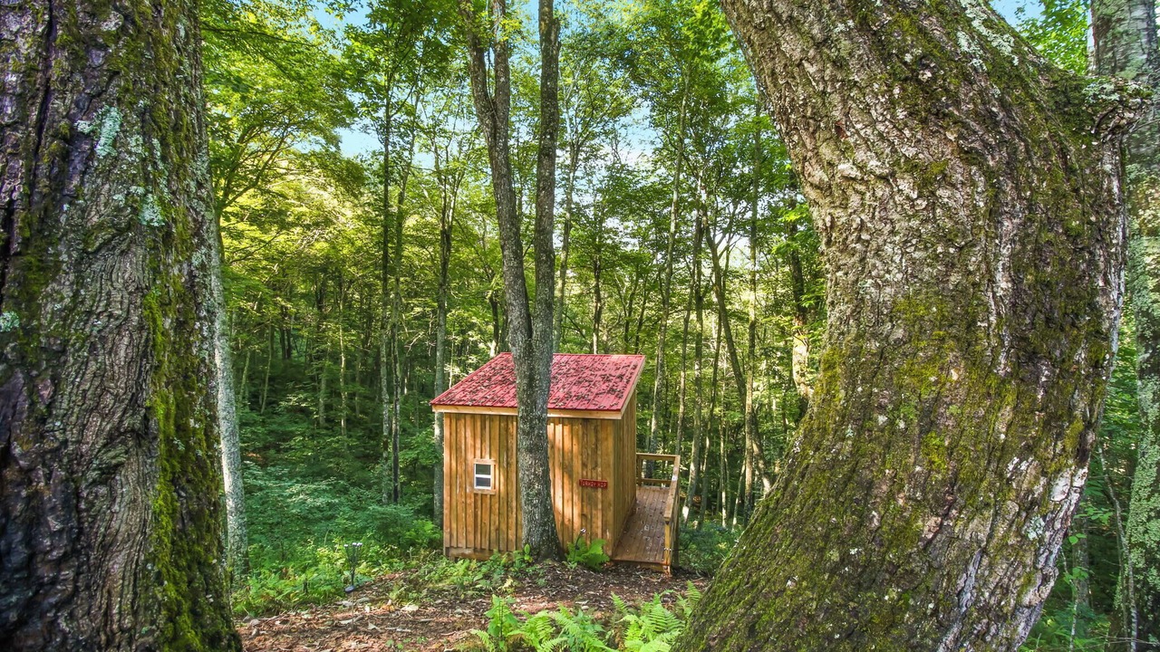 Photo of Outdoor in Laurel Springs