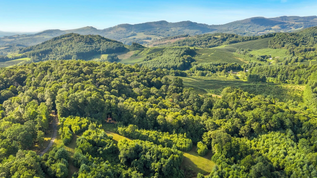 Photo of Outdoor in Laurel Springs