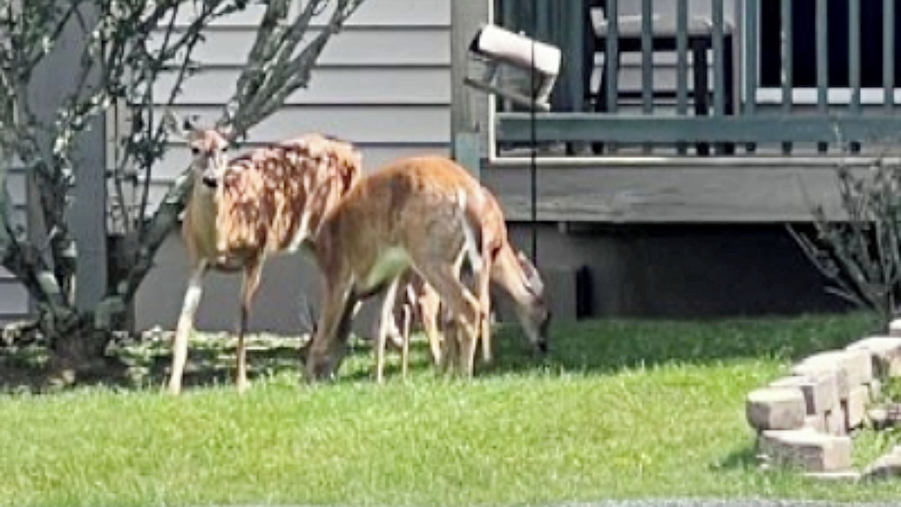 Photo of Others in Banner Elk