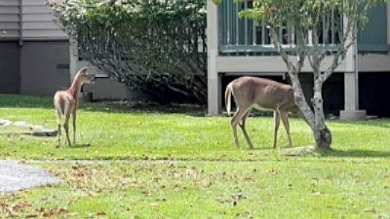 Photo of Others in Banner Elk