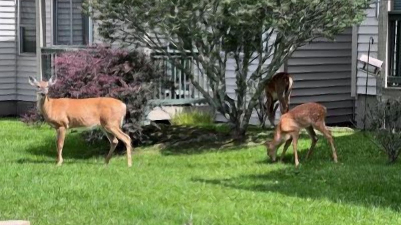Photo of Others in Banner Elk