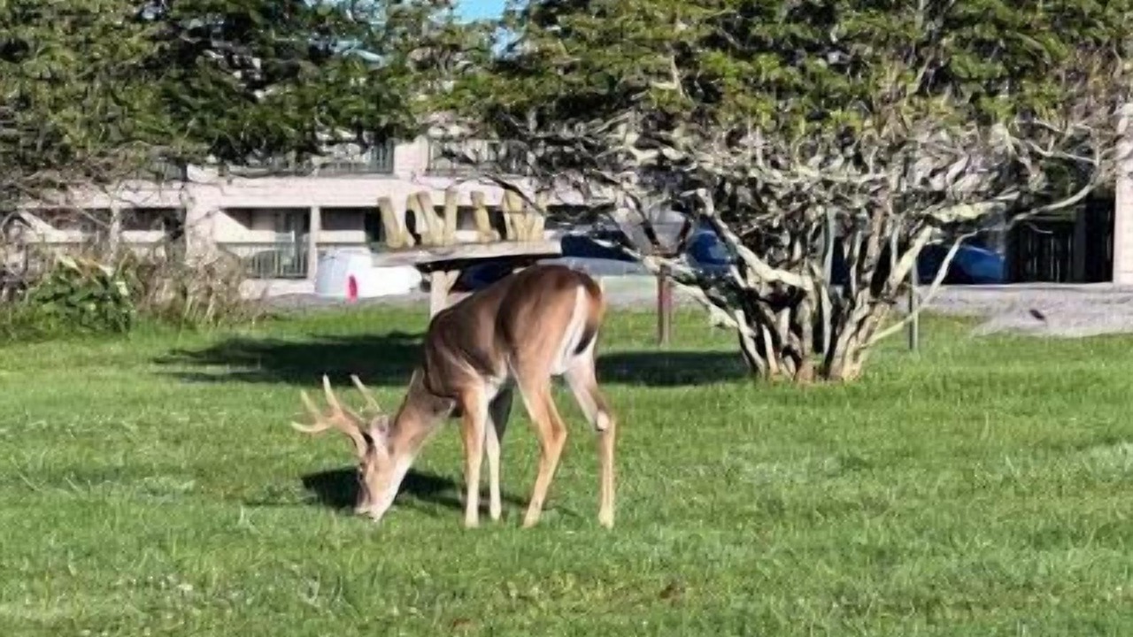 Photo of Others in Banner Elk