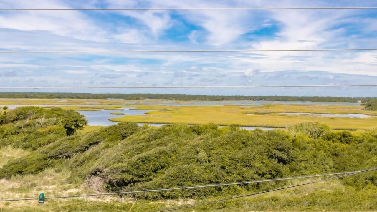 Photo of Others in Village of Stump Sound