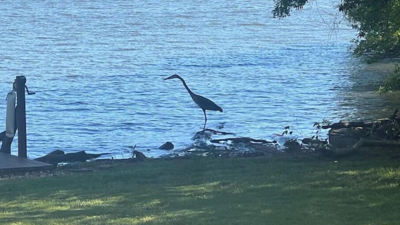 Photo of Others in Norwood