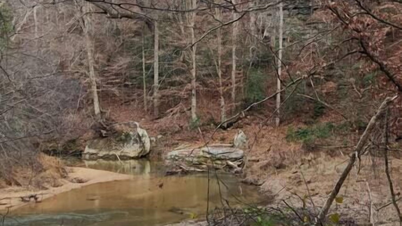Photo of Others in Hamptonville