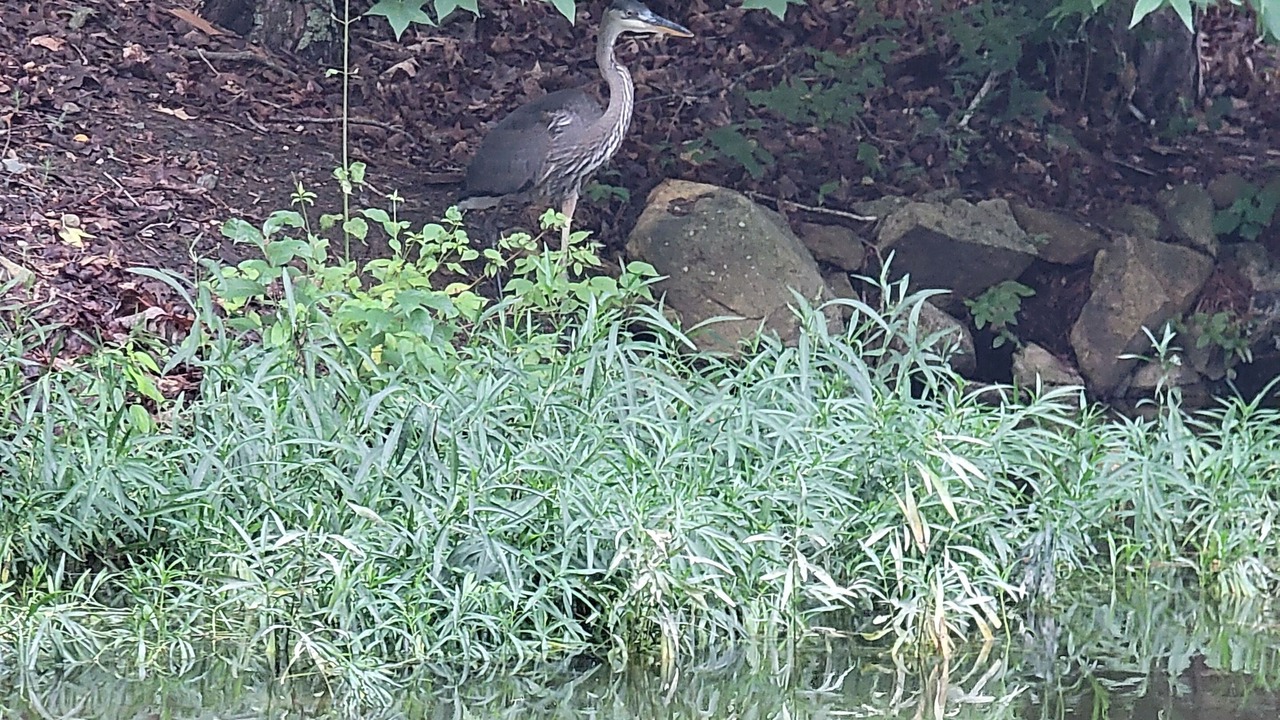 Photo of Outdoor in New London