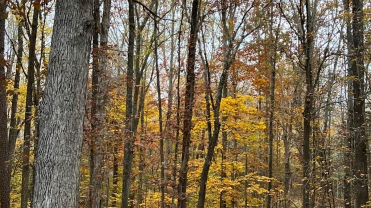 Photo of Others in Waxhaw