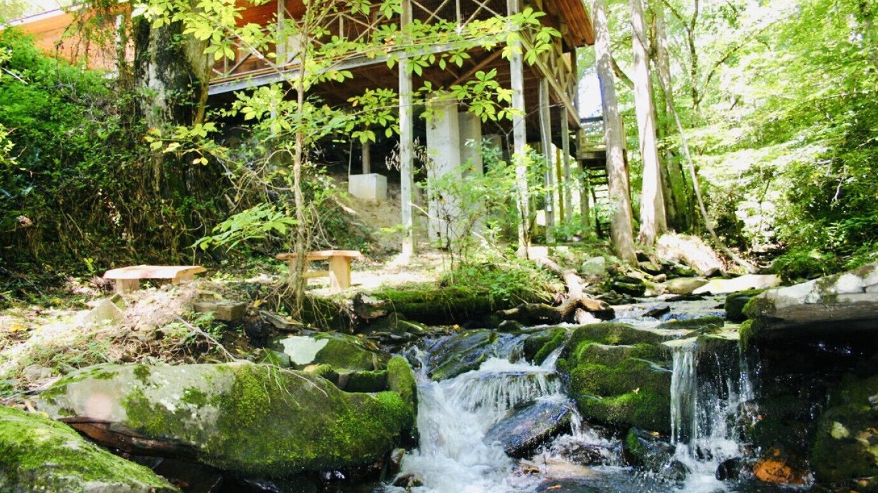 Photo of Others in Bryson City