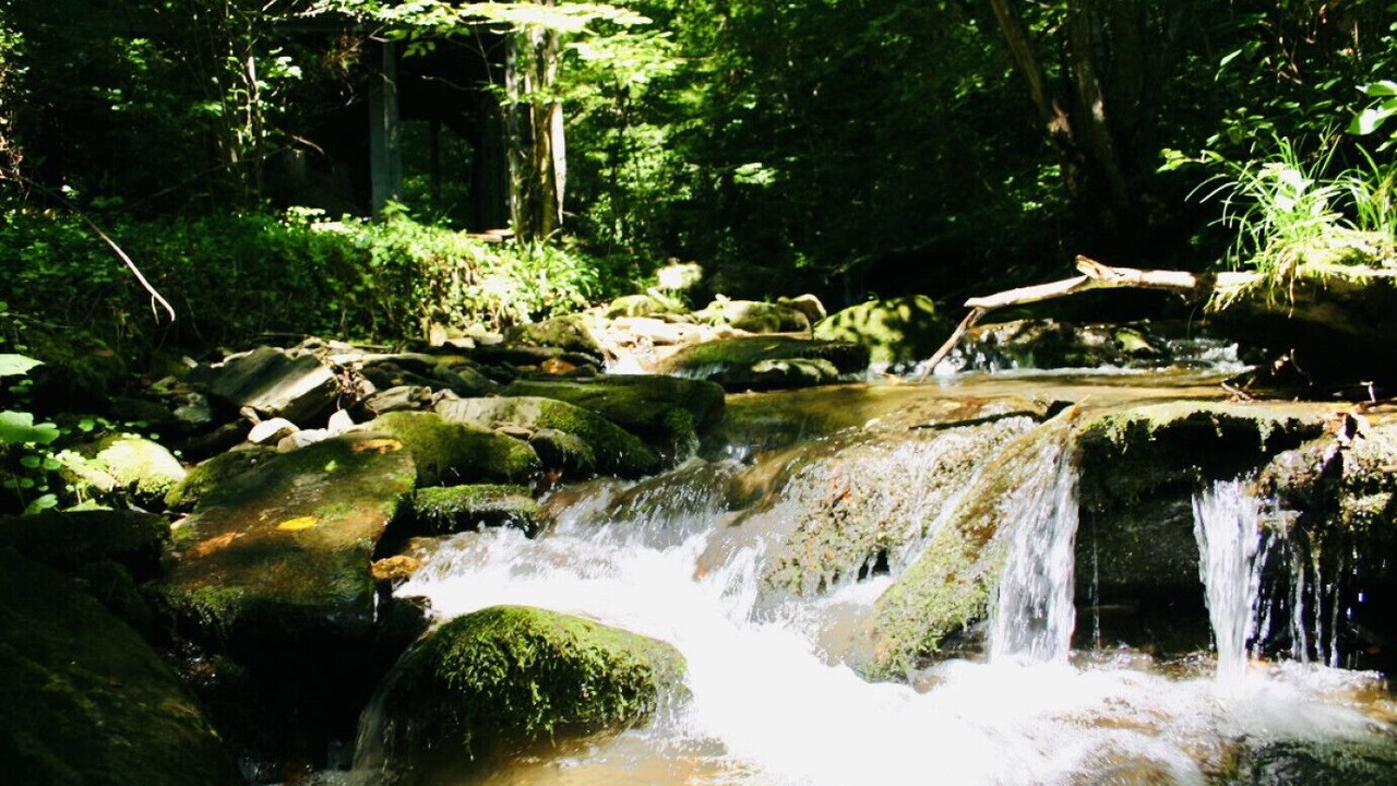 Photo of Others in Bryson City