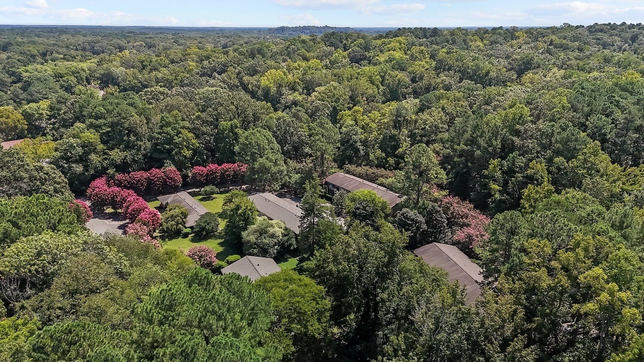Photo of Outdoor in Chapel Hill