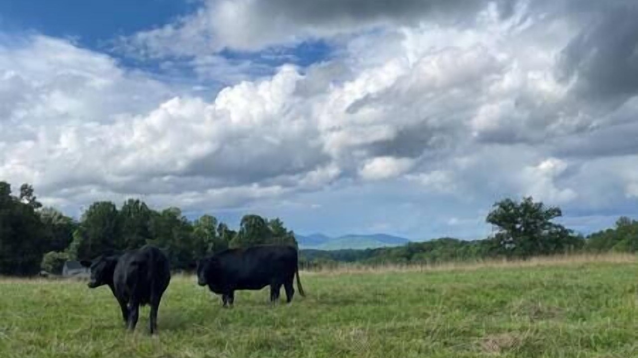 Photo of Outdoor in Candler