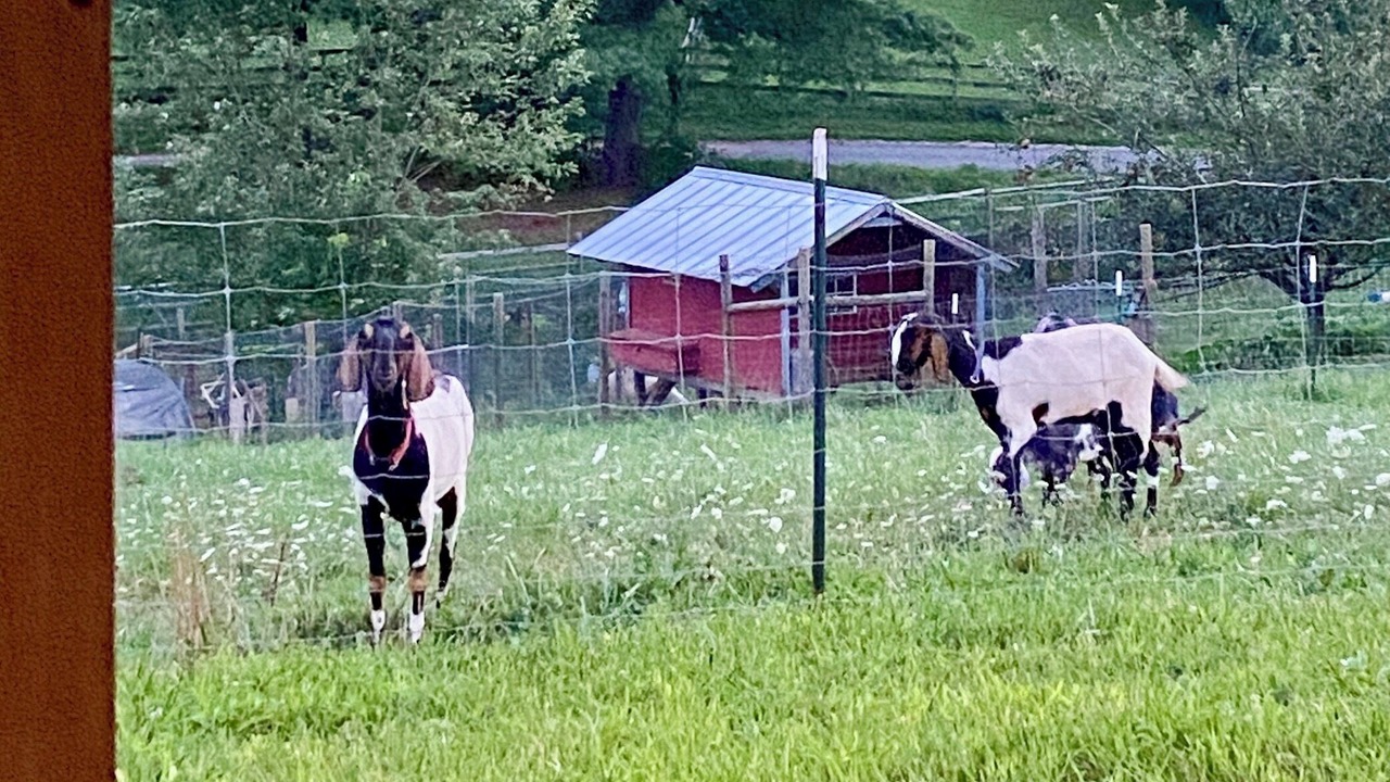 Photo of Others in Candler
