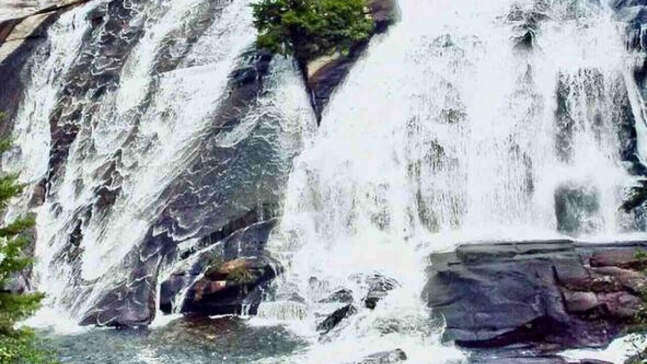 Photo of Outdoor in Mills River