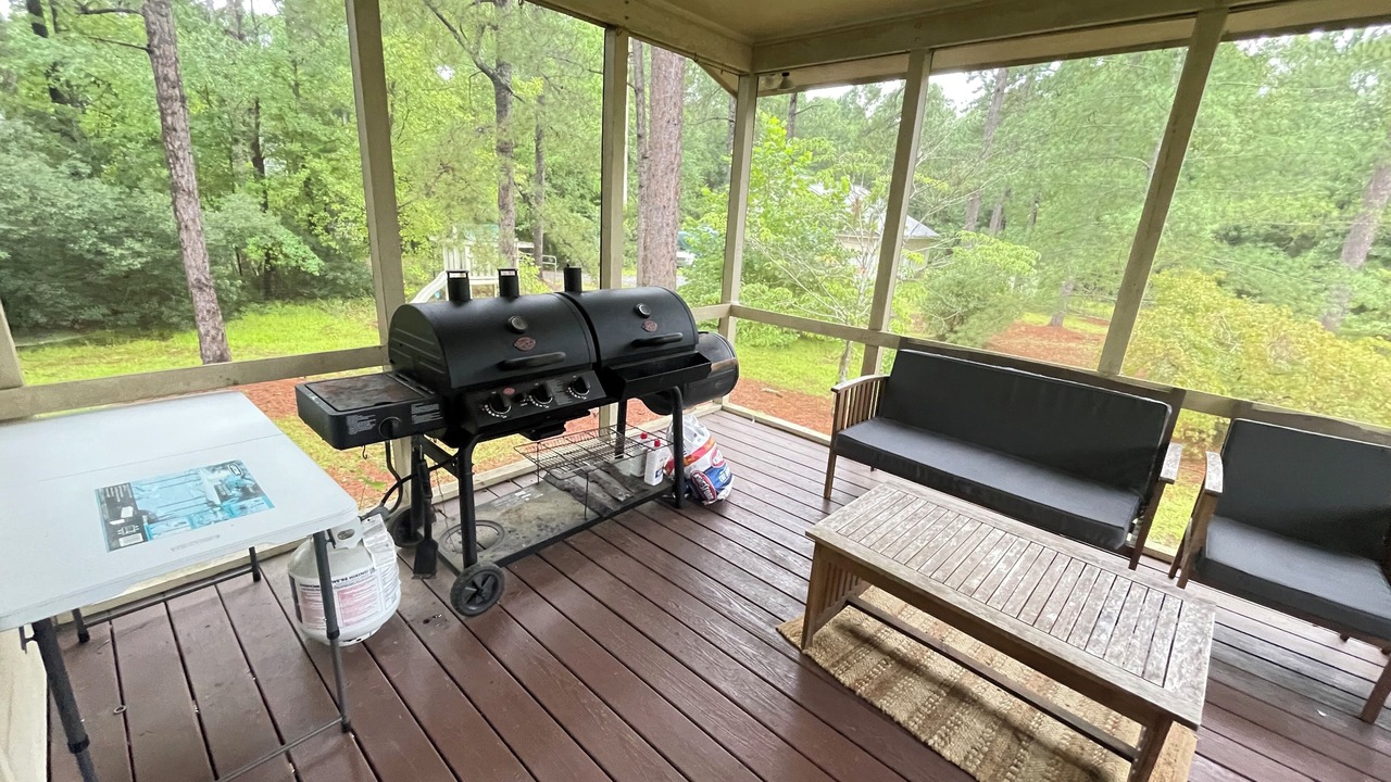 Photo of Outdoor in Pine Forest
