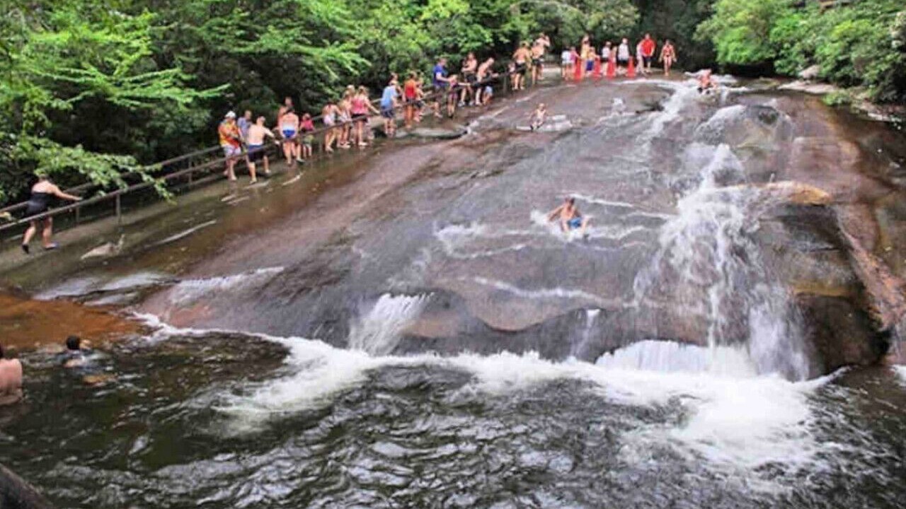 Photo of Others in Mills River