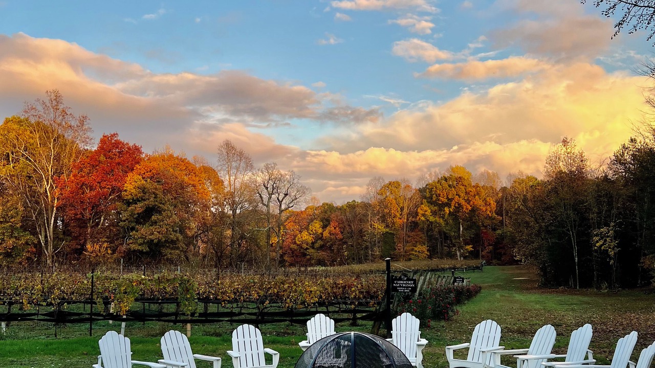 Photo of Outdoor in Lexington - Salisbury