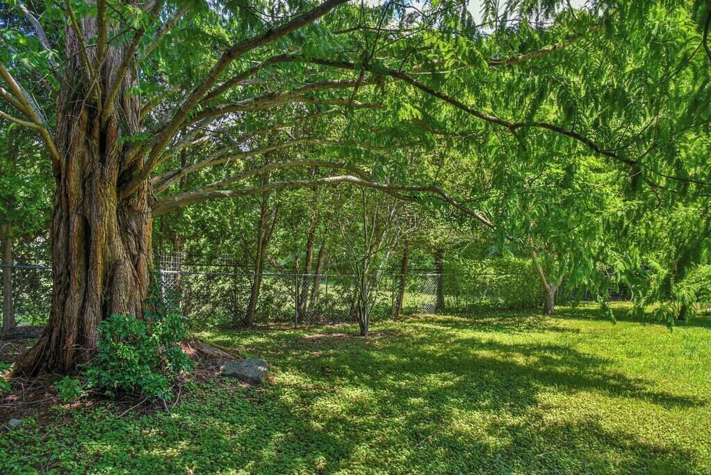 Photo of Outdoor in Oakley