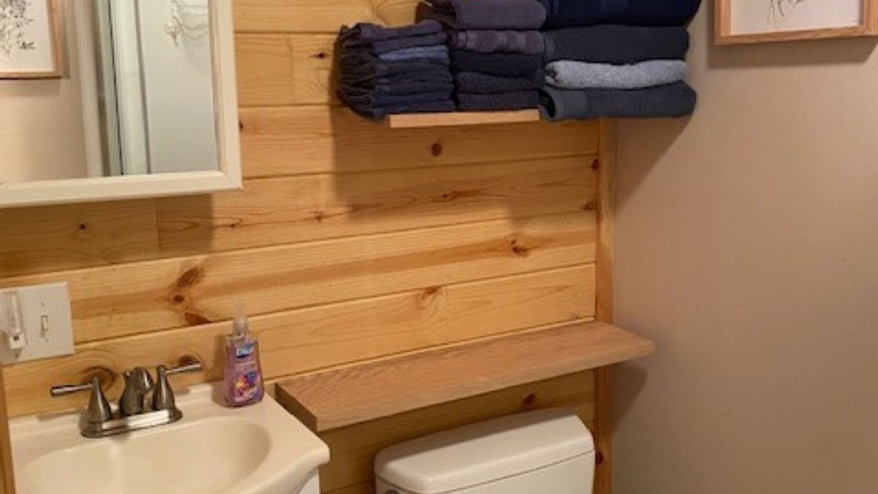 Photo of Bathroom in Lansing