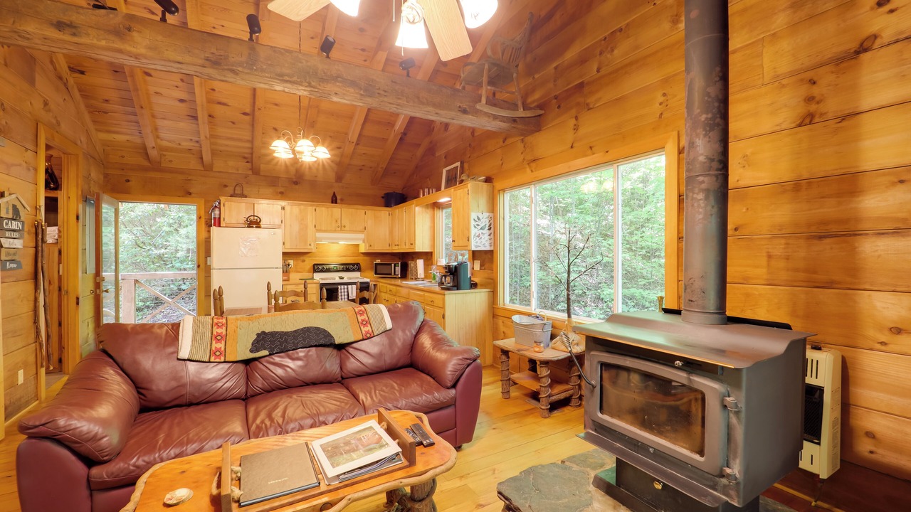 Photo of Livingroom in Vein Mountain