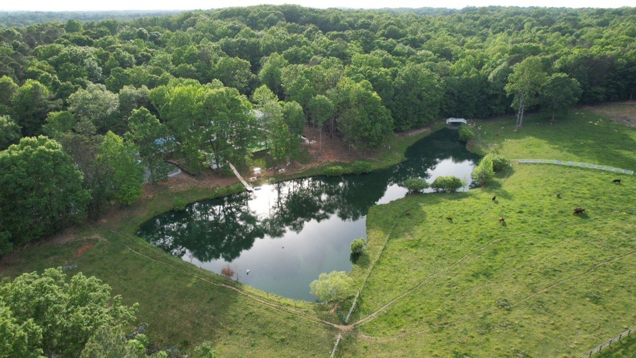 Photo of Outdoor in Siler City