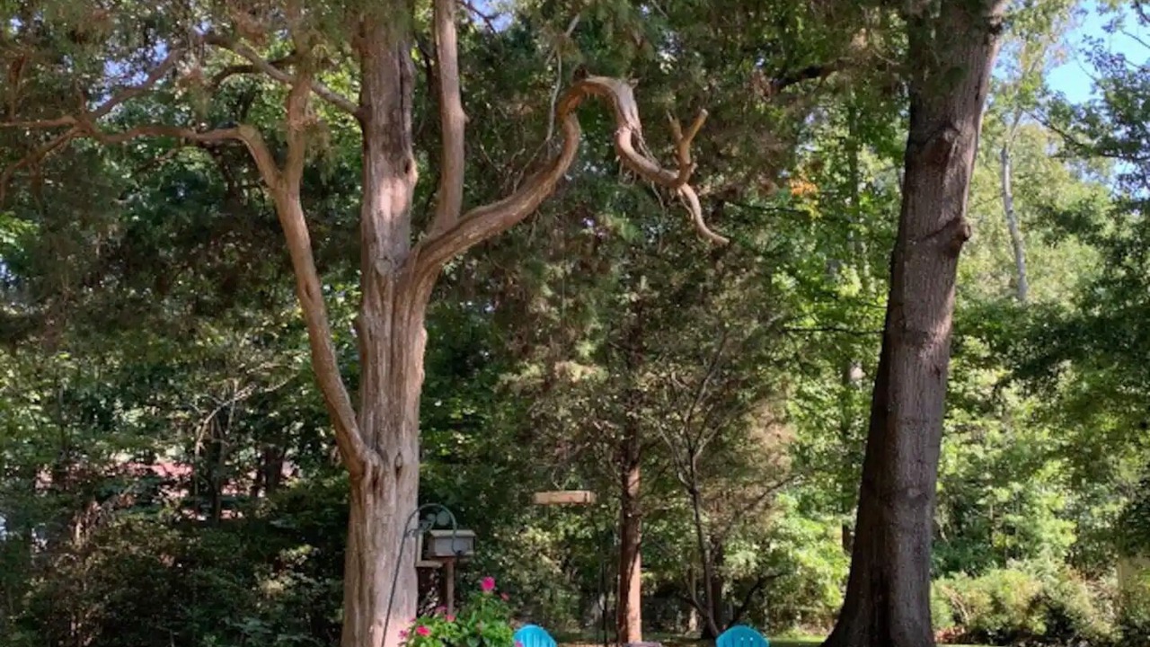 Photo of Outdoor in Indian Trail