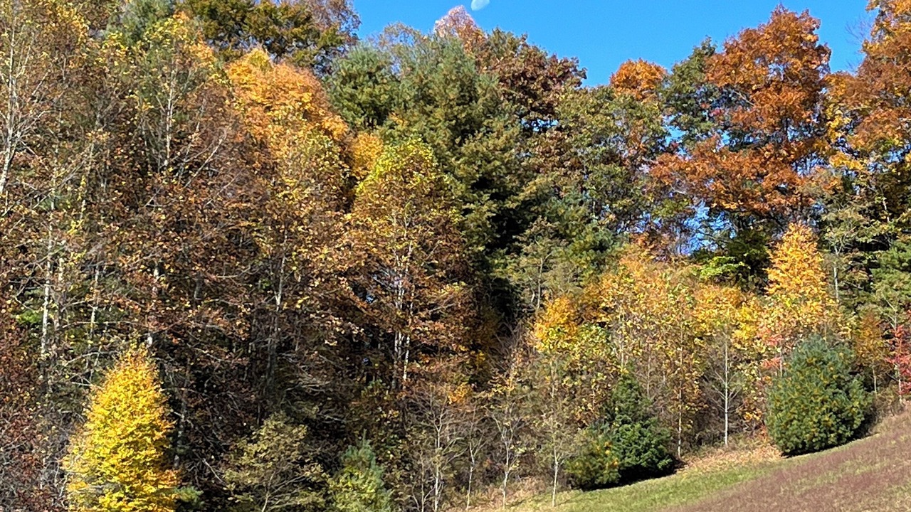 Photo of Outdoor in Green Mountain