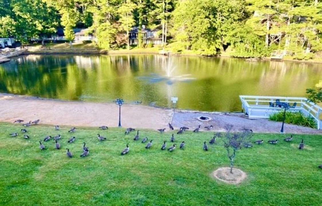 Photo of Others in Flat Rock