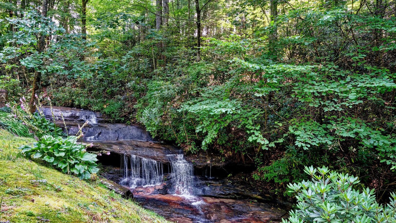 Photo of Outdoor in Scaly Mountain