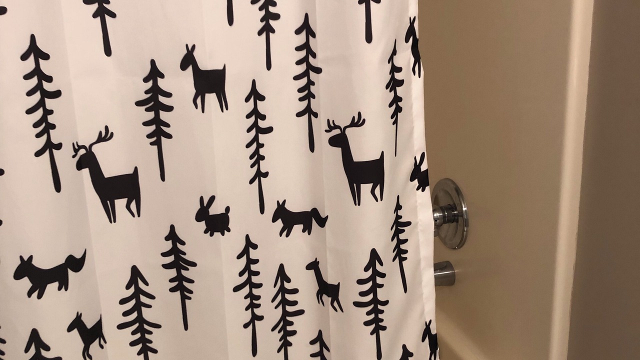 Photo of Bathroom in Scaly Mountain