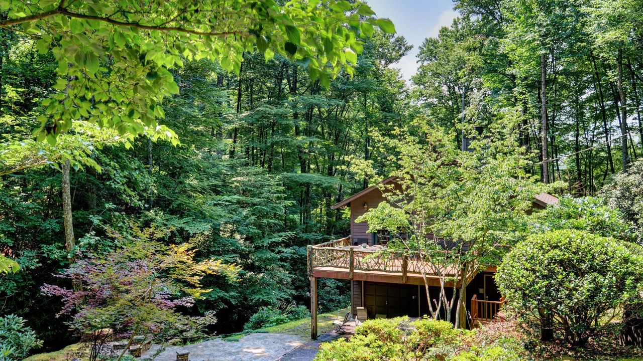 Photo of Outdoor in Scaly Mountain