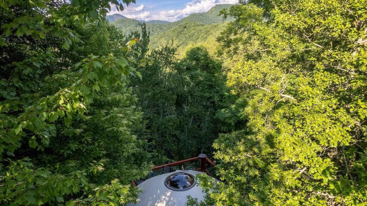 Photo of Others in Cullowhee