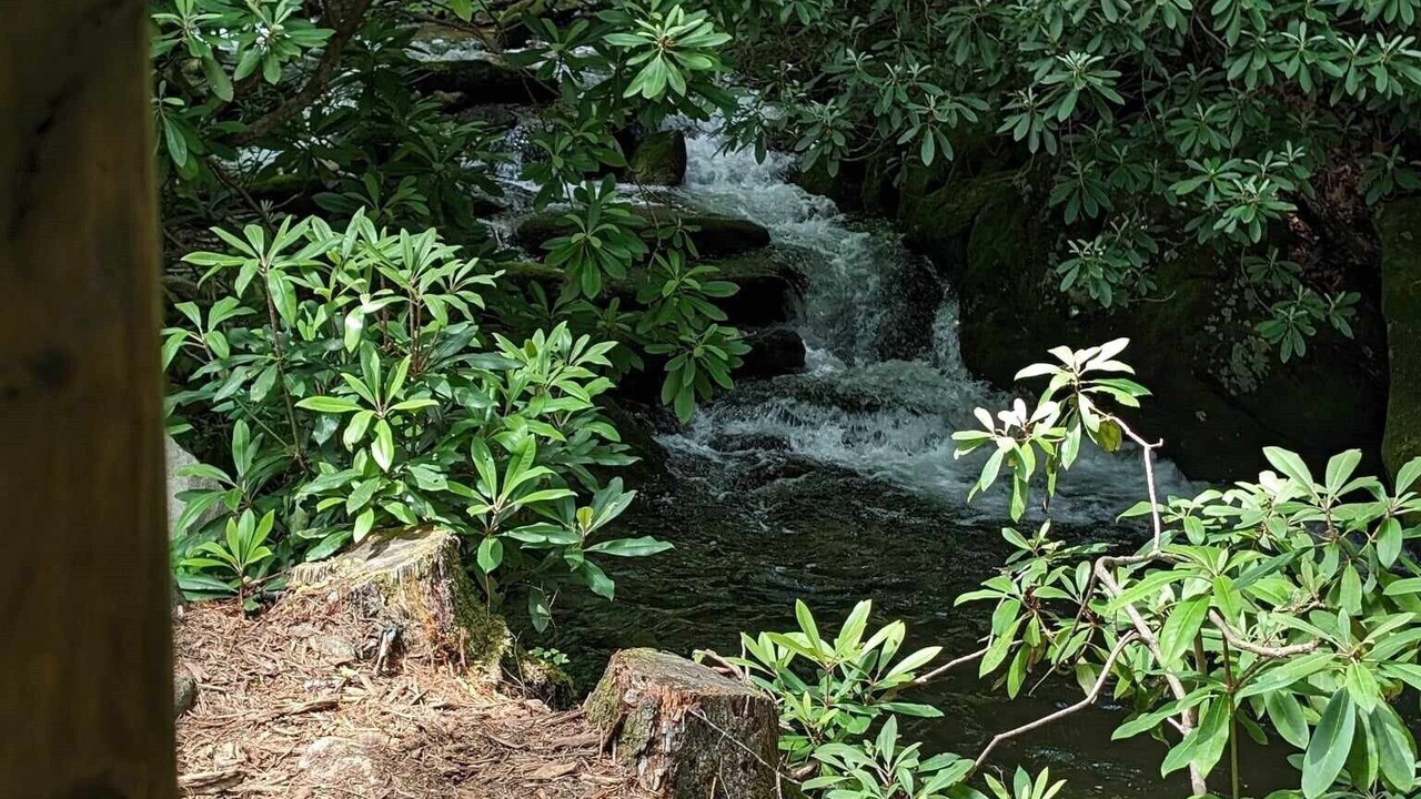 Photo of Outdoor in Old Fort
