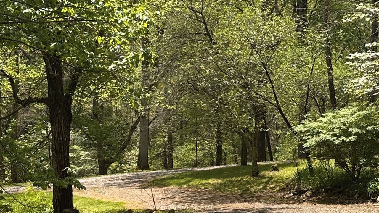 Photo of Outdoor in Upper Peachtree