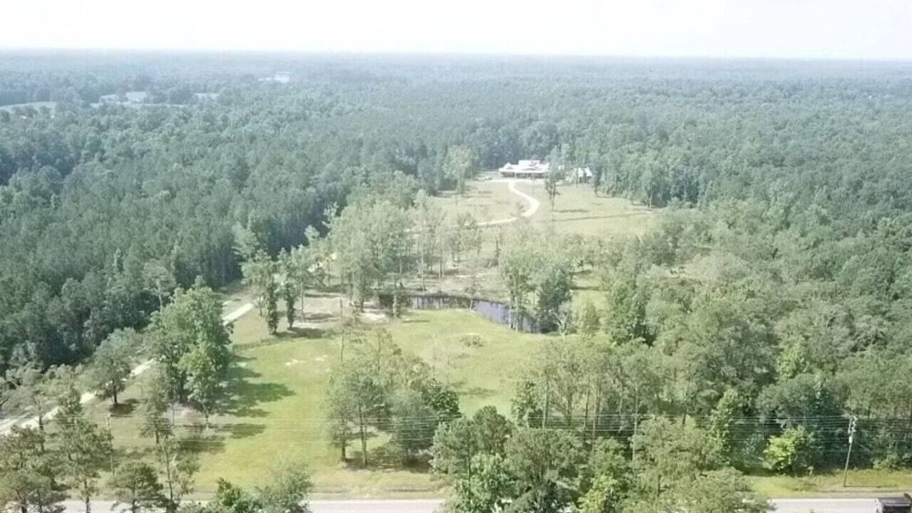 Photo of Others in Rocky Point