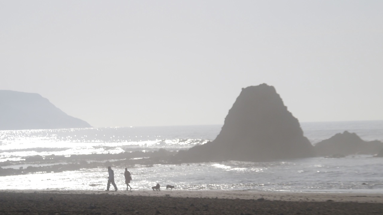 Photo of Others in Bude