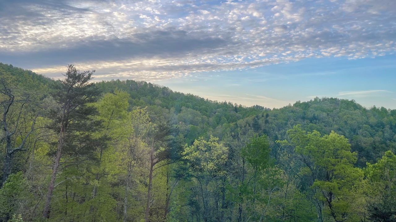 Photo of Others in Morganton