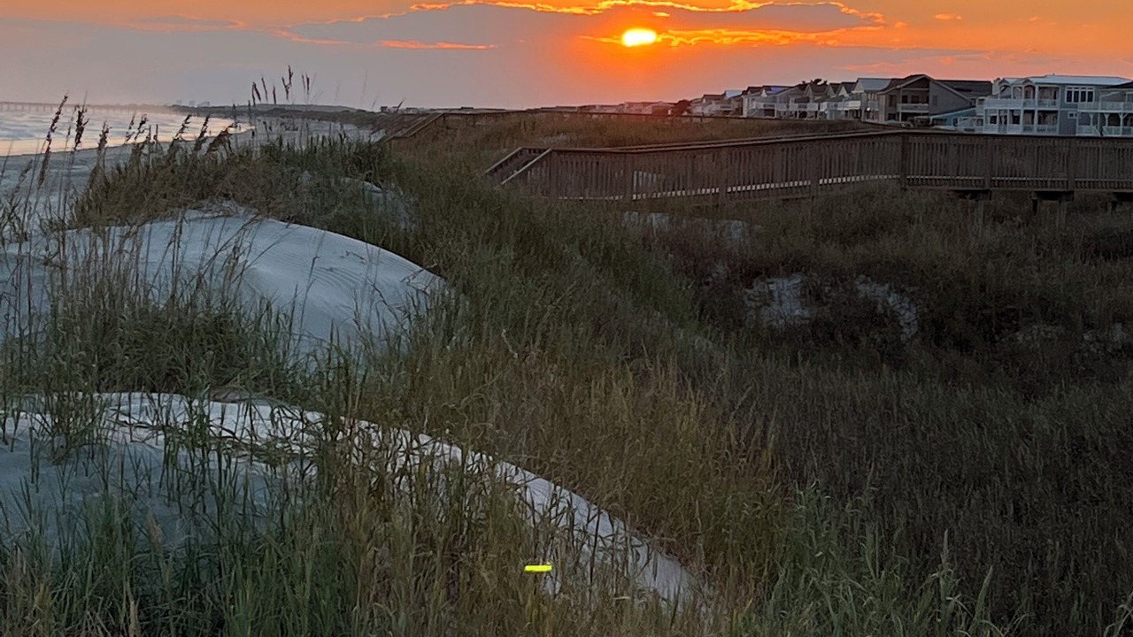 Photo of Others in Sea Trail
