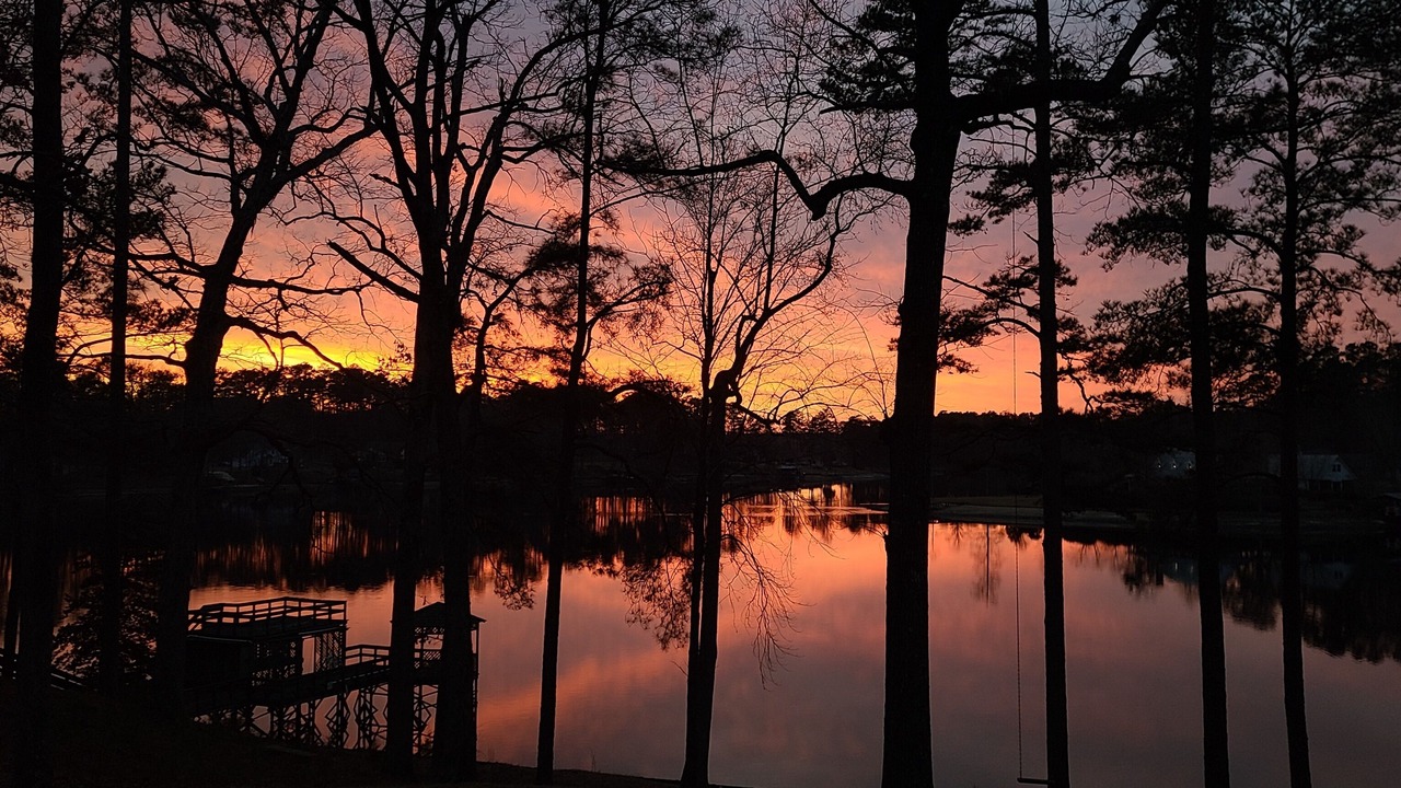 Photo of Outdoor in Cordova