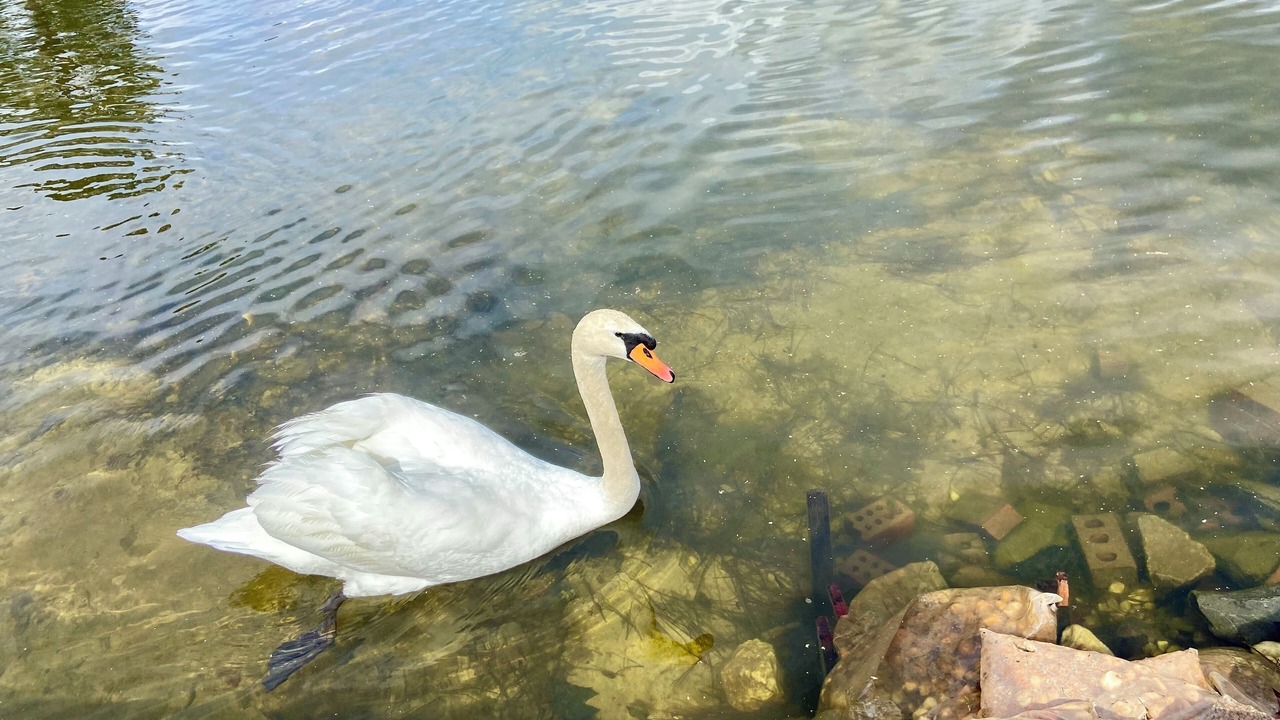 Photo of Outdoor in Olivia