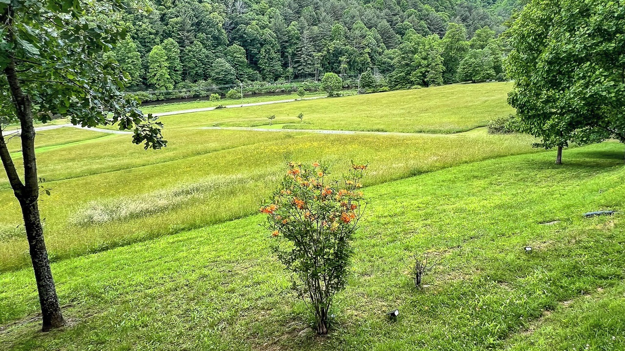 Photo of Outdoor in Todd