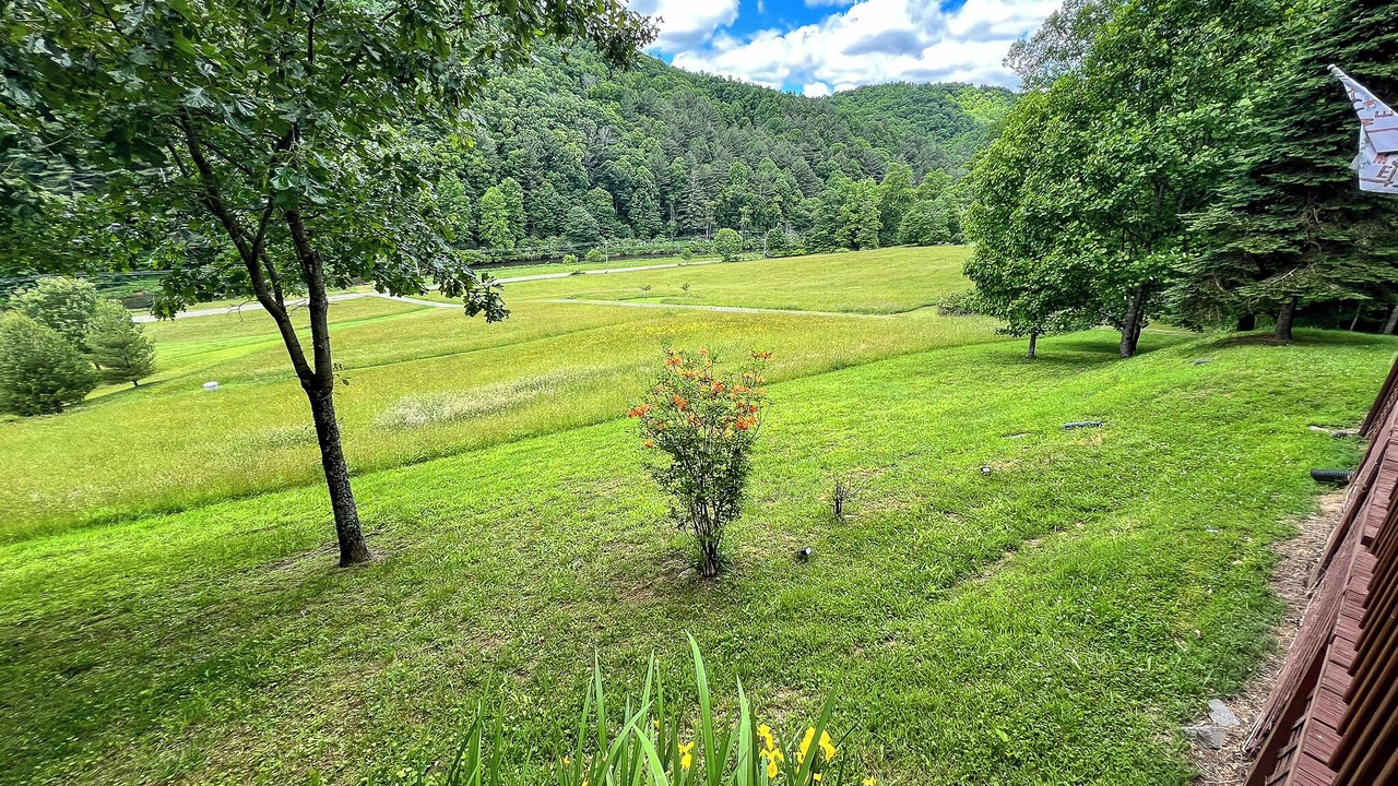 Photo of Outdoor in Todd