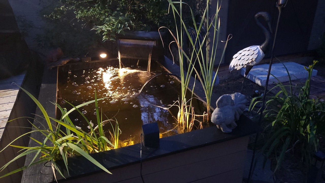 Photo of Outdoor in Gastonia