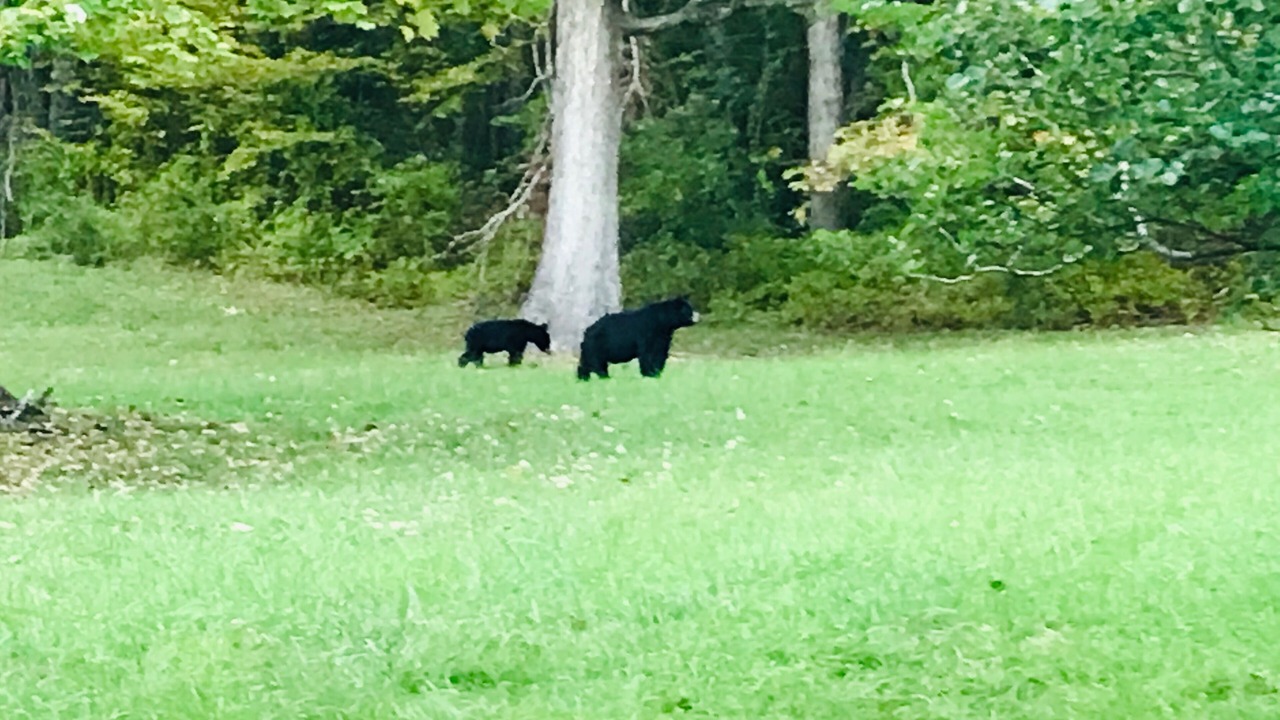 Photo of Others in Laurel Ridge