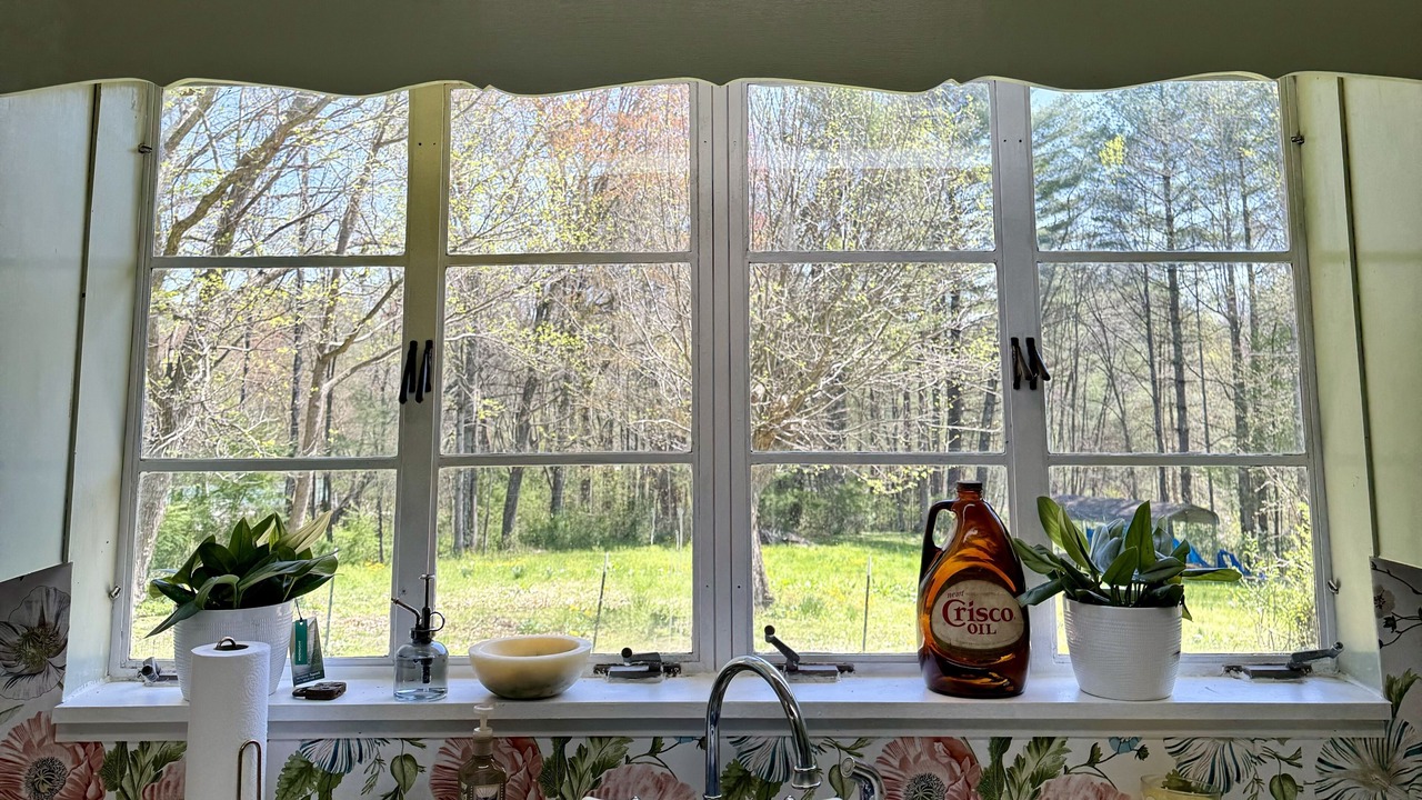 Photo of Kitchen in Brevard