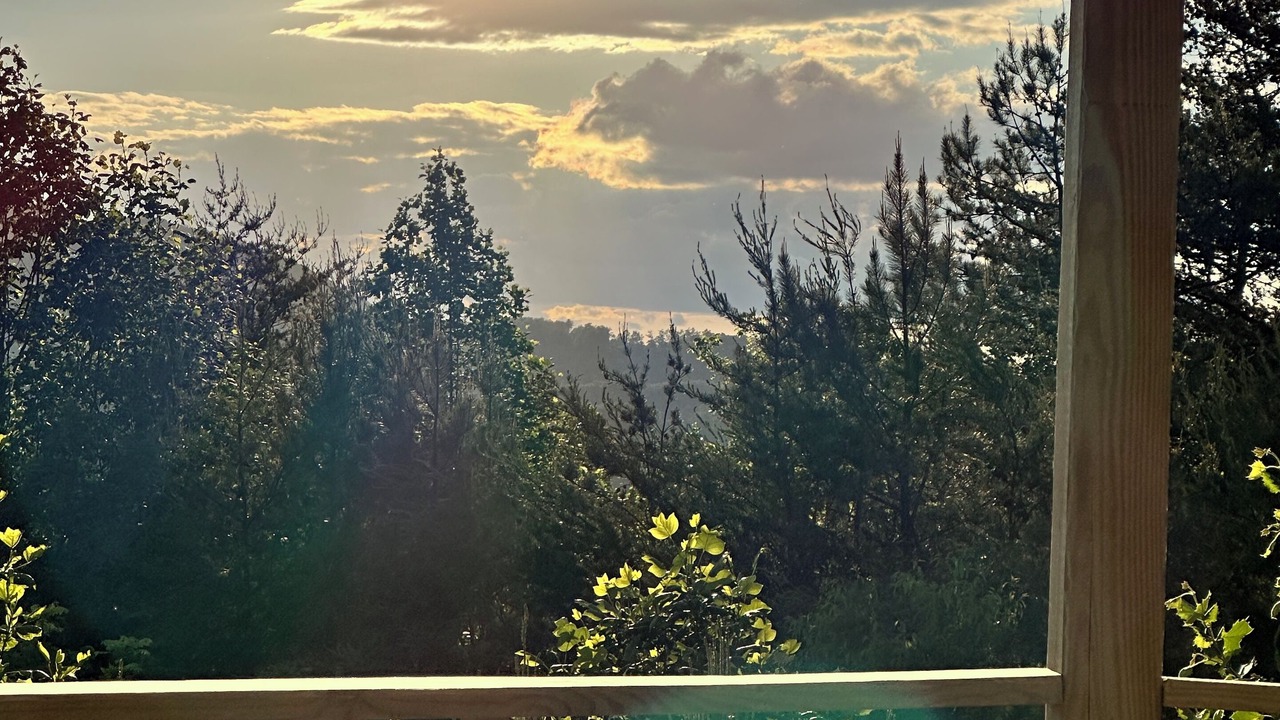 Photo of Others in Brasstown