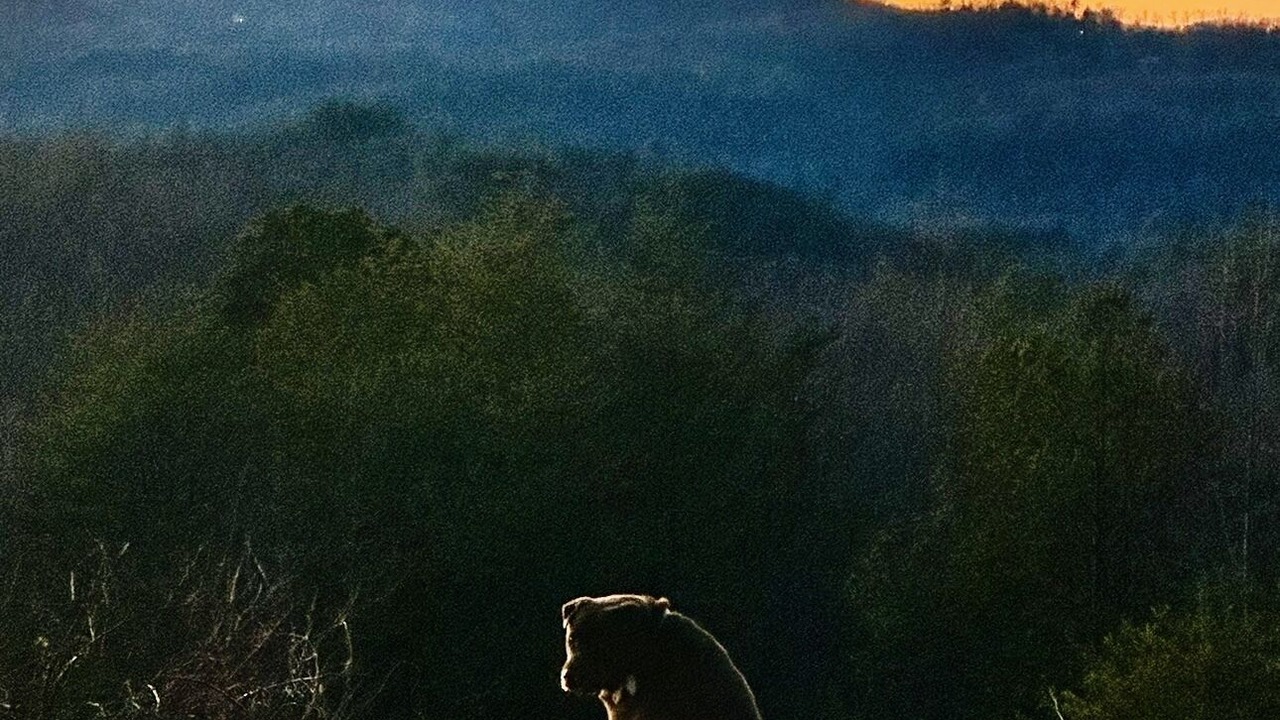 Photo of Others in Brasstown